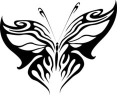 the original image of a butterfly