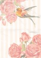 vintage drawing of a bird near the flowers