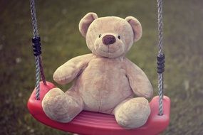 Beautiful Teddy Bear on the swing