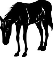 silhouette of a skinny horse on a white background