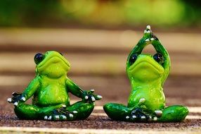 funny frog doing yoga