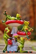 frog makes a marriage proposal near the mushrooms