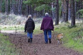 a couple of elderly people walking a dog