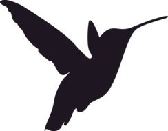 Silhouette Hummingbird Bird drawing