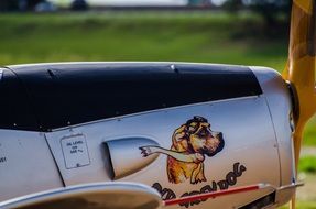 the image of the dog on the detail of the plane