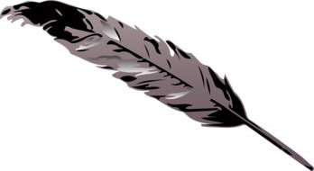 drawing of a dark bird feather on a white background