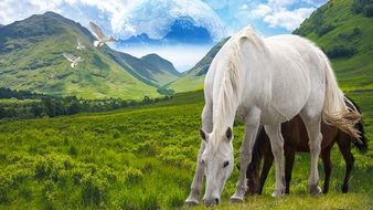 white and brown horses on a green meadow