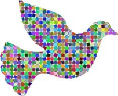 rainbow image of a dove