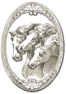 vintage labels depicting horses