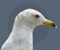 graphic image of a seagull on a gray background