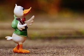 white duck is looking for a new beginning