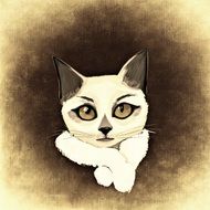 Cat face drawing at blur background