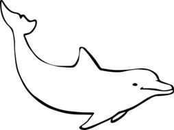 black and white drawing of a dolphin on a white background