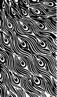 black and white drawing of a peacock's tail
