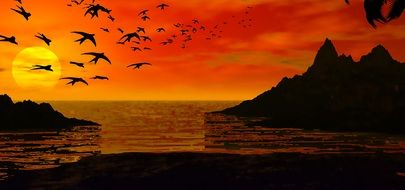 landscape of the beach at the sunset