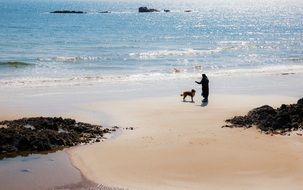 Dog Training on the beach scene