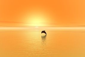 Dolphin at orange Sunset