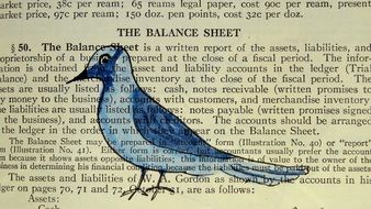 blue bird drawing on page of old book