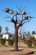 Birdhouses on the tree, north carolina