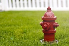 fire hydrant on the street