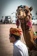 camel driver on the beach in India