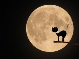 Moon Cat Mystical drawing