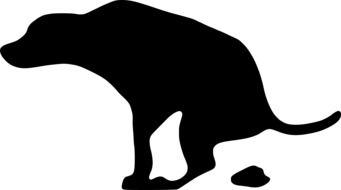 silhouette of a dog near shit