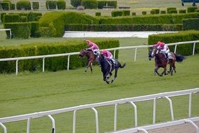 Horse Racing