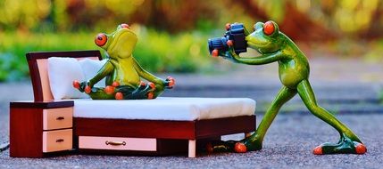 Photographer Frog bed funny figures