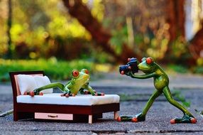 photo shoot of funny frogs