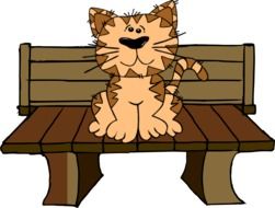 Cat on a bench