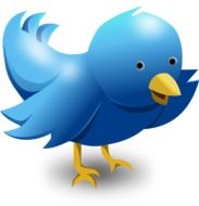 painted blue bird