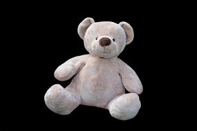 white teddy bear on the black background
