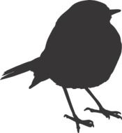 Bird Sparrow Silhouette drawing