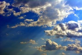 bird against the blue sky, white clouds and the rays of the sun