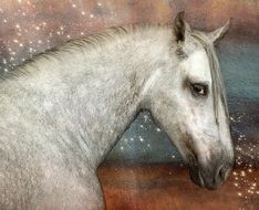 Horse Andalusians