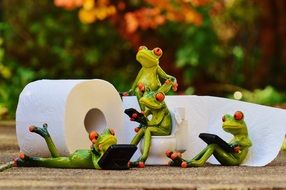 ceramic Frogs with toilet paper