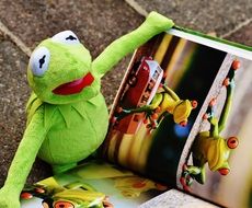 kermit toy frog watching picture book