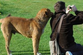 Photographer and Dog