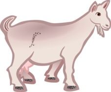 clipart,cute goat picture