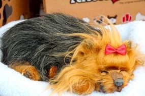 charming Fabric Dog Toys