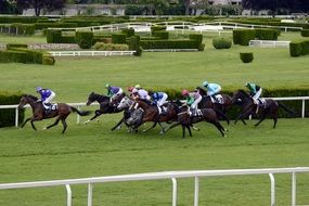 Interesting horse racing
