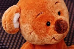 brown teddy bear close-up