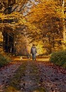 walk in autumn Park
