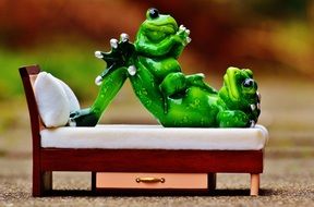 happy frog family