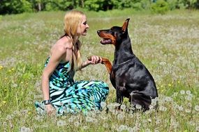 blonde with a purebred dog on a summer meadow