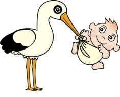 Stork with the baby clipart