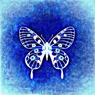 white silhouette of a butterfly on the blue background