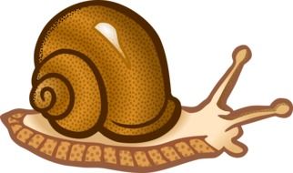 brown snail drawing