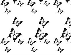 Black And White drawing of butterflies